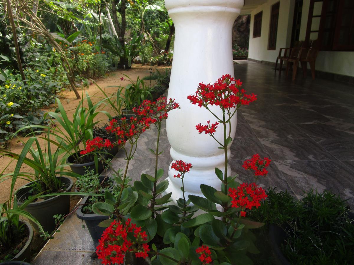 Maneesha Guest House 웰리가마 외부 사진